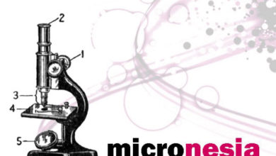 Micronesia