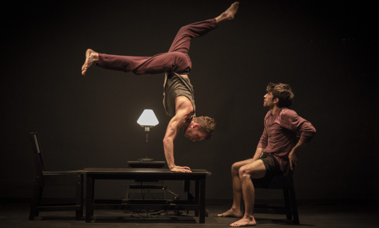 BUBBLE-El Lado Oscuro de las Flores