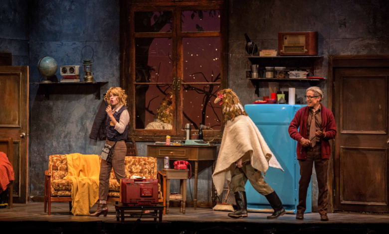 Labio de liebre-Teatro Petra