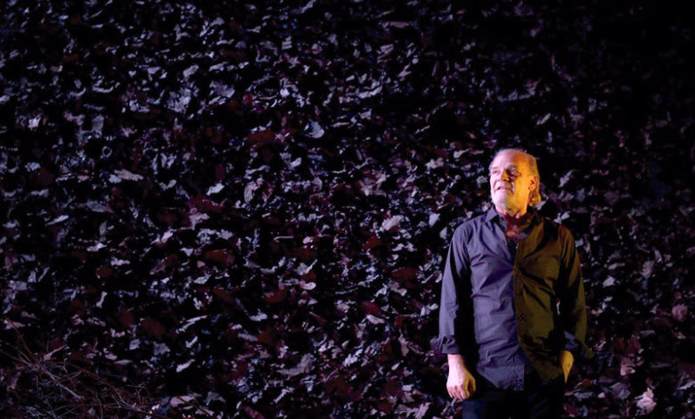 Tierra-baja-David-Ruano