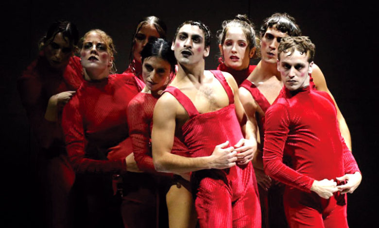 The lamb ©María Alperi