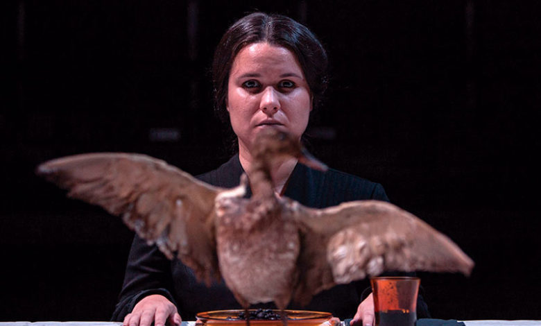 Viviseccionados @Marta Morera