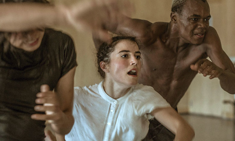 La domesticación @Virginia Rota