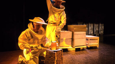 O mel non caduca - Foto Diego Seixo-