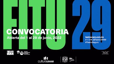 fitu 29