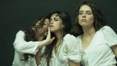 Els ossos de Montaigne