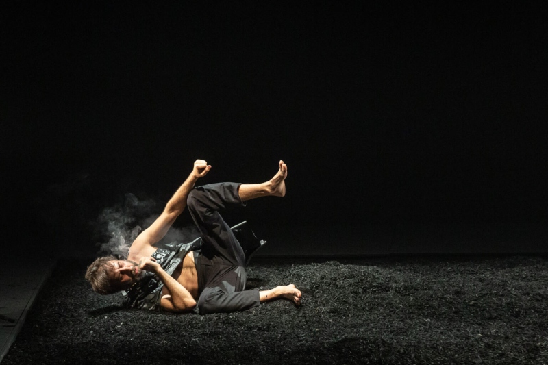 Lingua Brasileira Ultraliricos e Tom Ze Artezblai