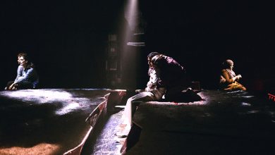 400 DIAS sin luz CDN Foto Luz Soria artezblai