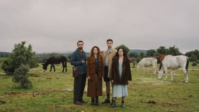 Elenco de Electra artezblai