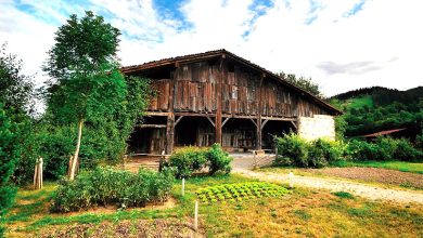 caserio museo ugartebeiti artezblai