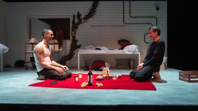 El beso de la mujer araña