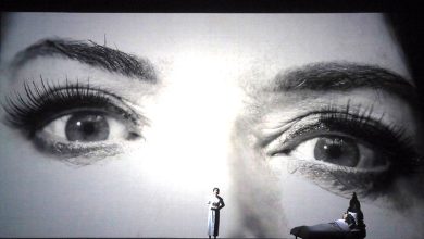 7 Deaths of Maria Callas c W Hoesl 4 artezblai