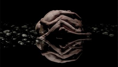 La compania Damien Jalet artezblai