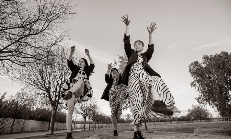 'Dos proposiciones. Perseidas'