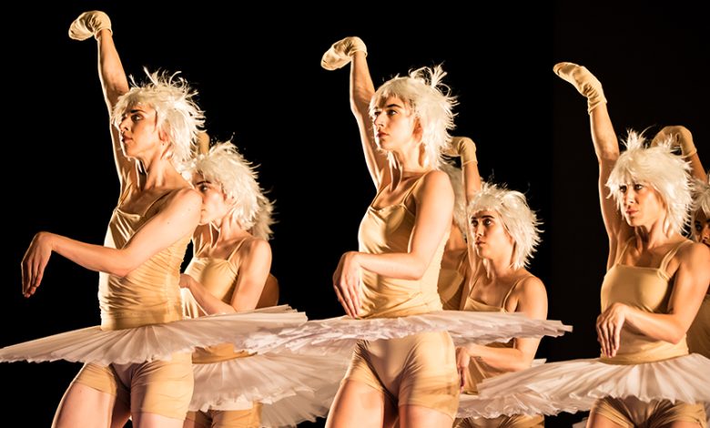 2021 swanlakes mariechouinard