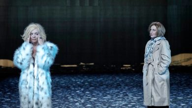 'Elizabeth Costello' (2)