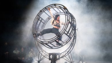 ROUE GIRATOIRE ©Anne Laure Chemin artezblai