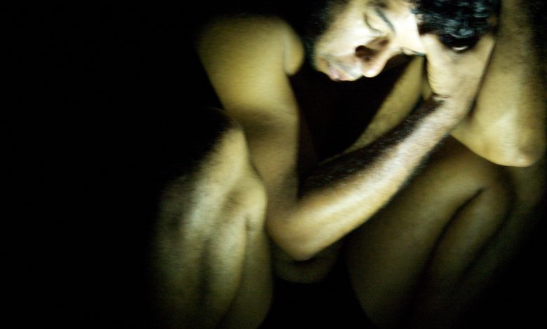 Espécie @ Fabiola Moraes